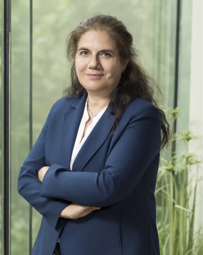 María Teresa Maulén